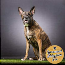 Thumbnail photo of Basil #1