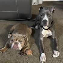 Thumbnail photo of Bubba #3