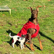 Thumbnail photo of Lala #4