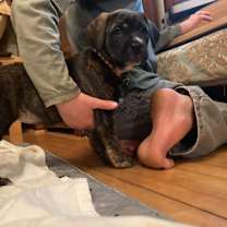 Thumbnail photo of Katniss #4