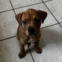 Thumbnail photo of Madeline #1