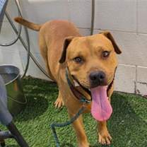 Thumbnail photo of TIMBER #3