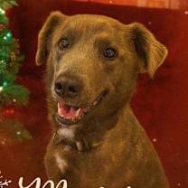 Thumbnail photo of Arya #1