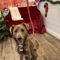 Thumbnail photo of Arya #2