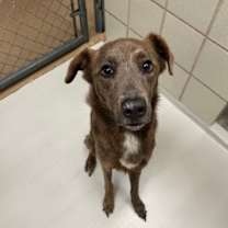 Thumbnail photo of Arya #3