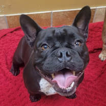 Thumbnail photo of Candy #1