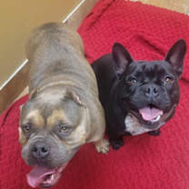 Thumbnail photo of Candy #3