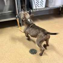 Thumbnail photo of Froggie #3