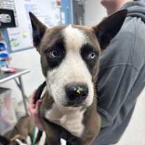 Thumbnail photo of Mary-Kate #1