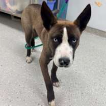 Thumbnail photo of Ashley #1