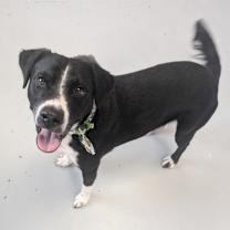 Thumbnail photo of Cruise #1