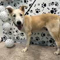 Thumbnail photo of Fergie #2