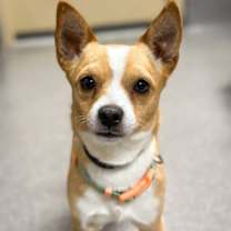 Thumbnail photo of Bill #1