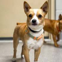 Thumbnail photo of Bill #2