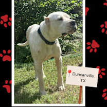 Thumbnail photo of Margo #2