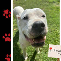 Thumbnail photo of Margo #3