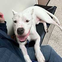 Thumbnail photo of Slater #3