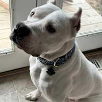 Thumbnail photo of Slater #4