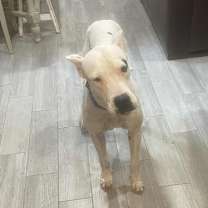 Thumbnail photo of Abby #2