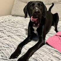 Thumbnail photo of Auguste Blanqui #1