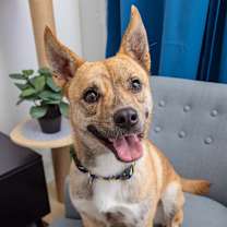 Thumbnail photo of Frites #1