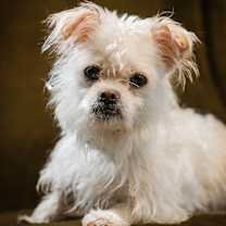 Thumbnail photo of Frisbee #1