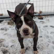 Thumbnail photo of Thunder #2