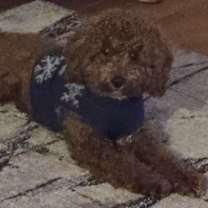 Thumbnail photo of Blu #2