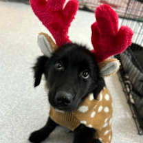 Thumbnail photo of Chance #2