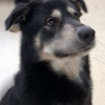 Thumbnail photo of Conner #1