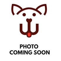 Thumbnail photo of Velvet #3