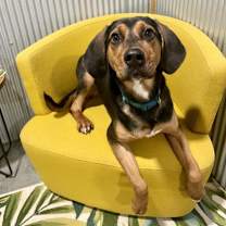 Thumbnail photo of Blooper #1