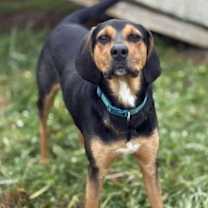 Thumbnail photo of Blooper #2