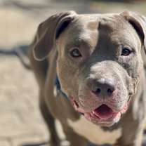 Thumbnail photo of Lonnie Girl #3