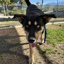 Thumbnail photo of JAKE #3