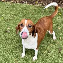 Thumbnail photo of Molly #1