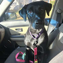 Thumbnail photo of Charlotte #4