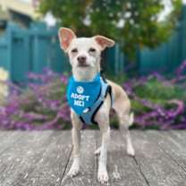 Thumbnail photo of Starry Night 13582 #3