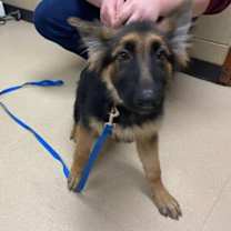 Thumbnail photo of Max #2