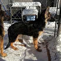 Thumbnail photo of Max #3