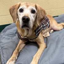 Thumbnail photo of Stacie  #2