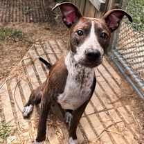 Thumbnail photo of Maeve #2