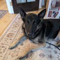 Thumbnail photo of Hudson #1