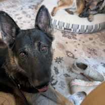 Thumbnail photo of Hudson #2