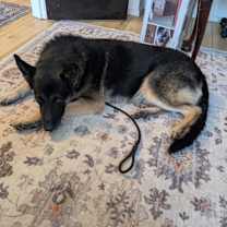 Thumbnail photo of Hudson #3