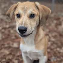 Thumbnail photo of Chase #3