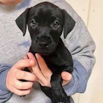 Thumbnail photo of Gabbie #4