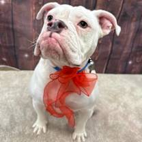 Thumbnail photo of Jewel #3