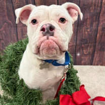 Thumbnail photo of Jewel #4