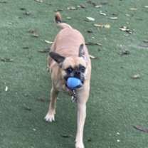 Thumbnail photo of Winnie #4